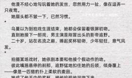 娱乐圈爆料小说完结,幕后真相大揭秘