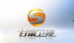 甘肃卫视在线观看