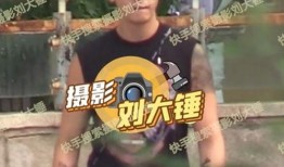刘大锤爆料王鹤立视频,网友热议