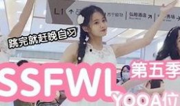 大使先生妮娃爆料视频在线观看,揭秘不为人知的幕后故事