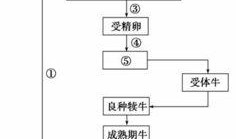 工厂生产食品爆料流程视频,爆料视频深度解析