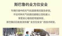 郑州某车企爆料新闻,揭秘新能源汽车产业链背后的秘密