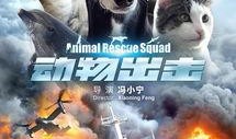 急速出击在线观看,惊险刺激的极限挑战之旅