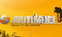 甘肃卫视在线观看