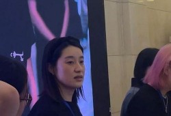 大使先生妮娃爆料视频在线观看,揭秘不为人知的幕后故事