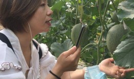 新疆吃瓜网红是谁啊视频,视频走红背后的故事