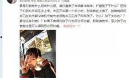 罗芳前夫爆料视频大全,真相与争议交织