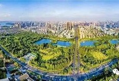 合肥高新区最新爆料,科技新城崛起，创新引擎全速运转