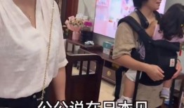 大使先生妮娃爆料视频在线观看,揭秘不为人知的幕后故事