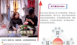 视频爆料恋情模板怎么做,明星甜蜜恋情曝光，甜蜜瞬间引网友热议