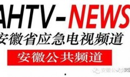 四川公共频道爆料视频,揭秘事件背后惊人真相