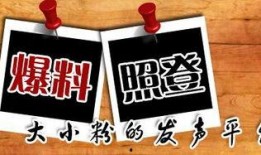 幽默新闻大爆料,笑翻你的周末时光