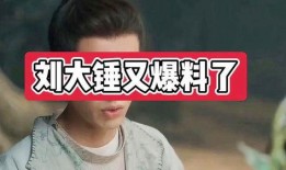 刘大锤爆料王鹤立视频,网友热议