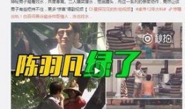 赤犬最新爆料视频大全,揭秘热点事件背后的真相