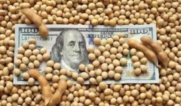 美国大豆最新爆料