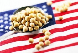 美国大豆最新爆料