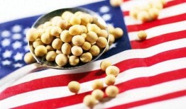美国大豆最新爆料