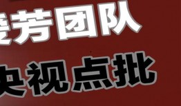 曙光团队爆料视频大全集,揭秘幕后真相与精彩瞬间